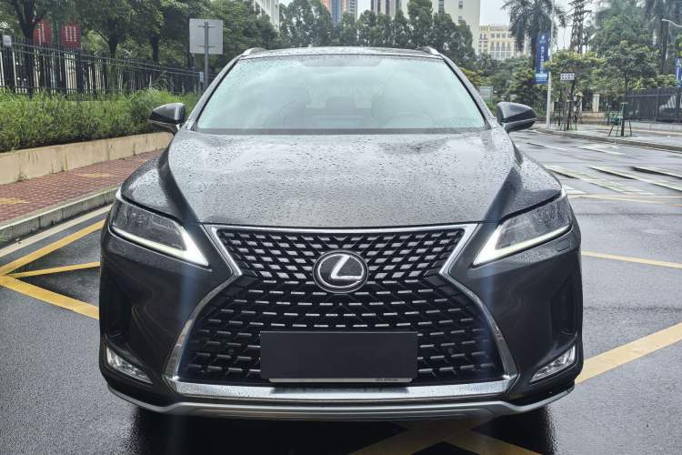 Used Lexus RX 2020 300 Two-Wheel Drive Elite Edition China VI Standard Exterior 1