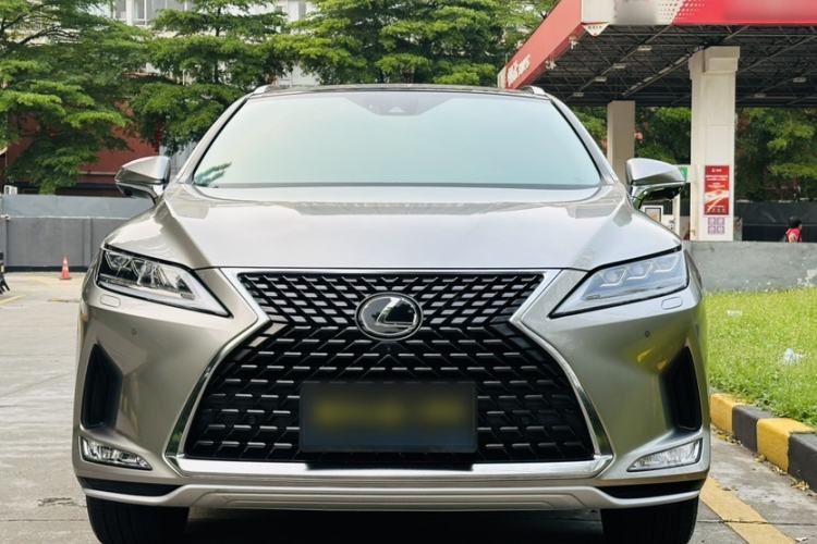 Used Lexus RX 2020 Facelifted 300 4x4 Elegant Edition Exterior 1