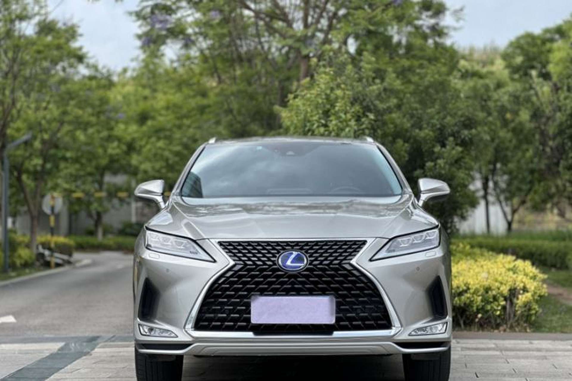 Used Lexus RX 2020 Revised Version 450h Four-Wheel Drive Elegant Edition Exterior 2