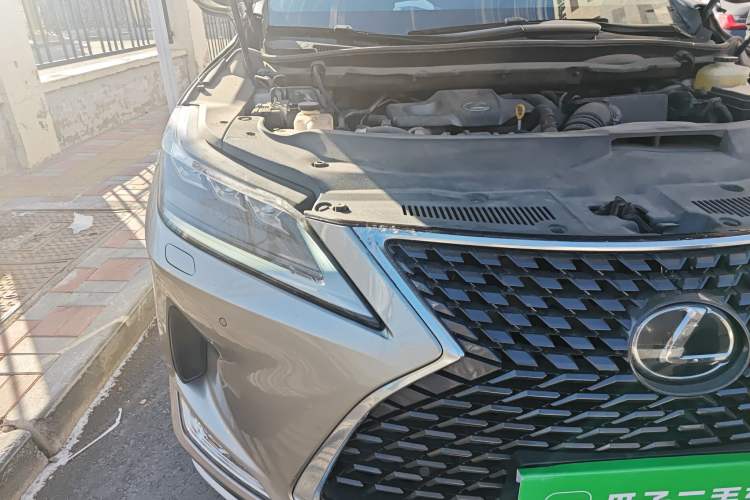 Used Lexus RX 2020 300 4x4 Elegant Edition China VI Exterior 3
