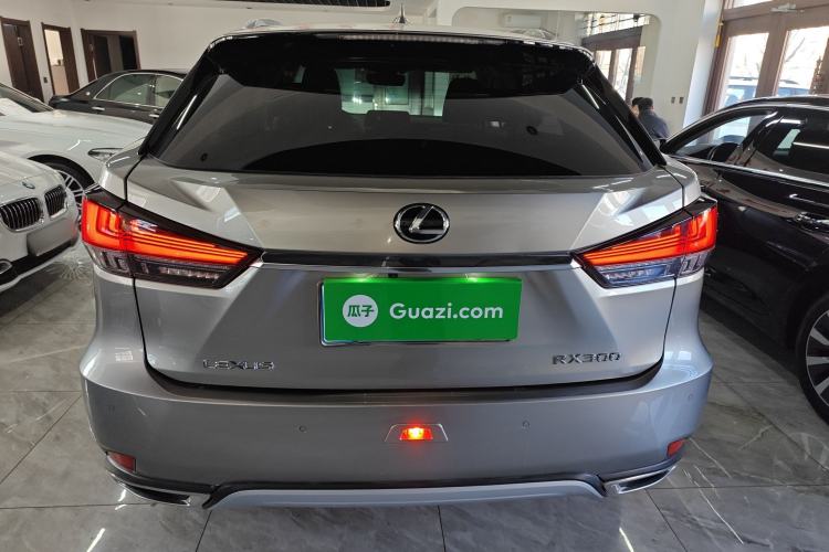 Used Lexus RX 2020 Facelifted 300 4x4 Elegant Edition Exterior 4