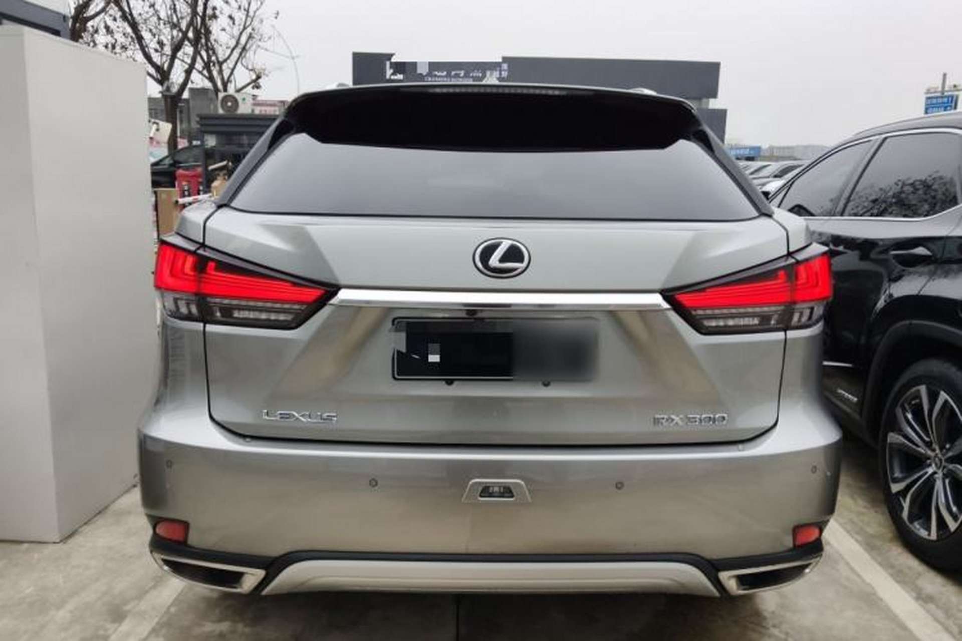 Used Lexus RX 2020 Facelifted 300 4x4 Elegant Edition Exterior 4