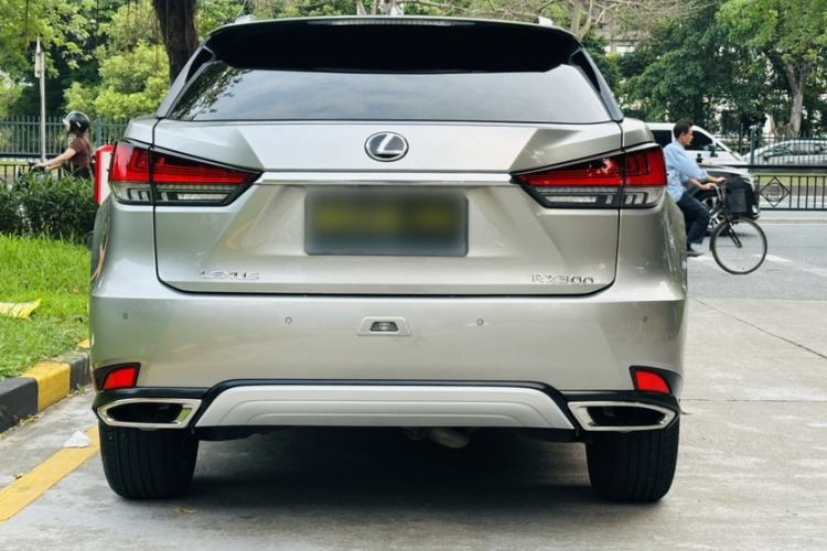 Used Lexus RX 2020 Facelifted 300 4x4 Elegant Edition Exterior 4