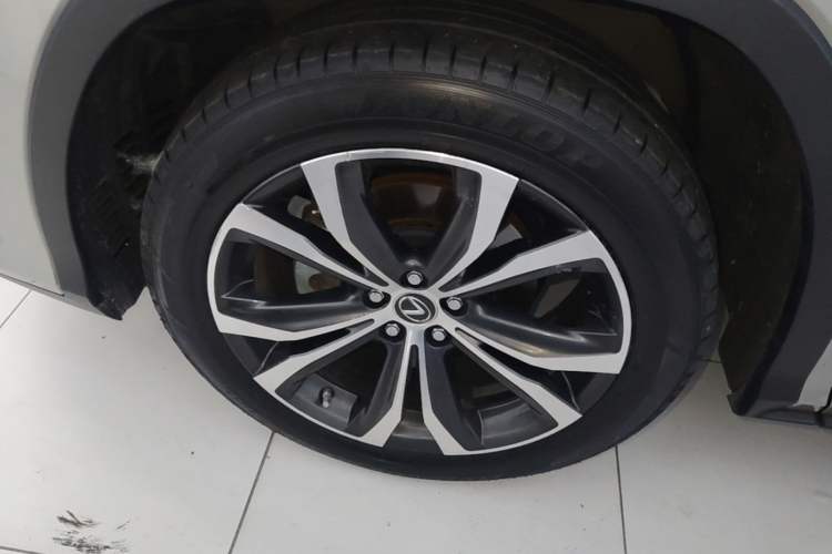 Used Lexus RX 2020 300 4x4 Elegant Edition China VI Exterior 4