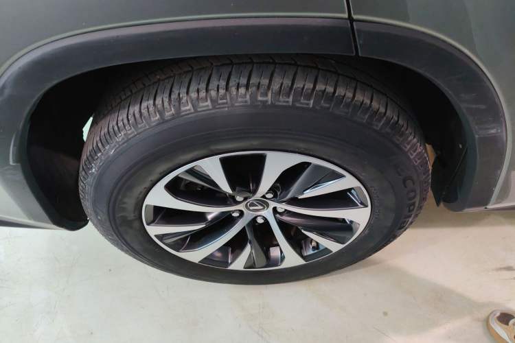 Used Lexus RX 2020 Revised Version 300 Two-Wheel Drive Elite Edition Exterior 4