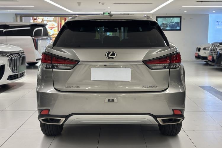 Used Lexus RX 2020 Revised Version 300 Two-Wheel Drive Comfort Edition Exterior 5