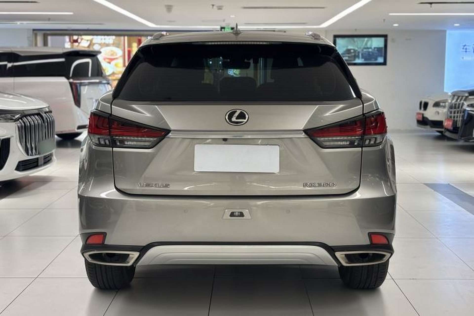 Used Lexus RX 2020 Revised Version 300 Two-Wheel Drive Comfort Edition Exterior 5