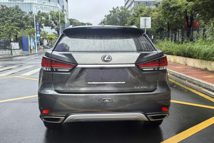 Used Lexus RX 2020 300 Two-Wheel Drive Elite Edition China VI Standard Exterior 5