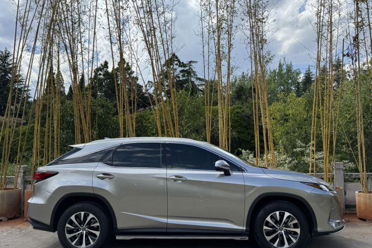 Used Lexus RX 2020 Revised Version 300 Two-Wheel Drive Elite Edition Exterior 5
