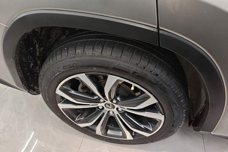 Used Lexus RX 2020 300 4x4 Elegant Edition China VI Exterior 5