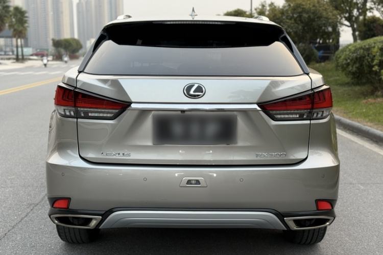 Used Lexus RX 2020 Facelifted 300 4x4 Elegant Edition Exterior 5