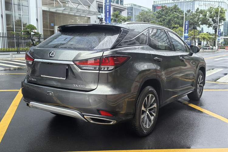 Used Lexus RX 2020 300 Two-Wheel Drive Elite Edition China VI Standard Exterior 6