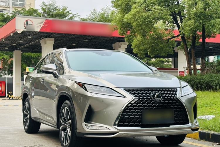 Used Lexus RX 2020 Facelifted 300 4x4 Elegant Edition Exterior 6