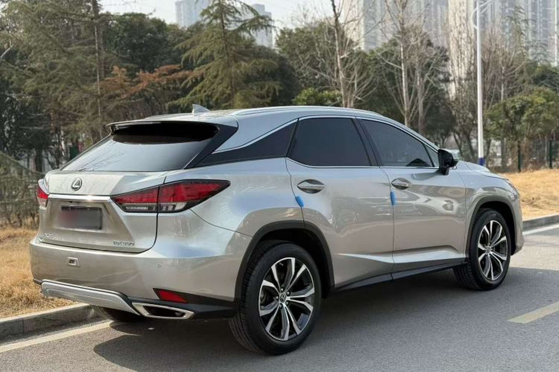 Used Lexus RX 2020 Facelifted 300 4x4 Elegant Edition Exterior 7
