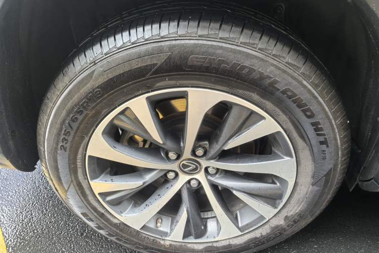 Used Lexus RX 2020 300 Two-Wheel Drive Elite Edition China VI Standard Exterior 8