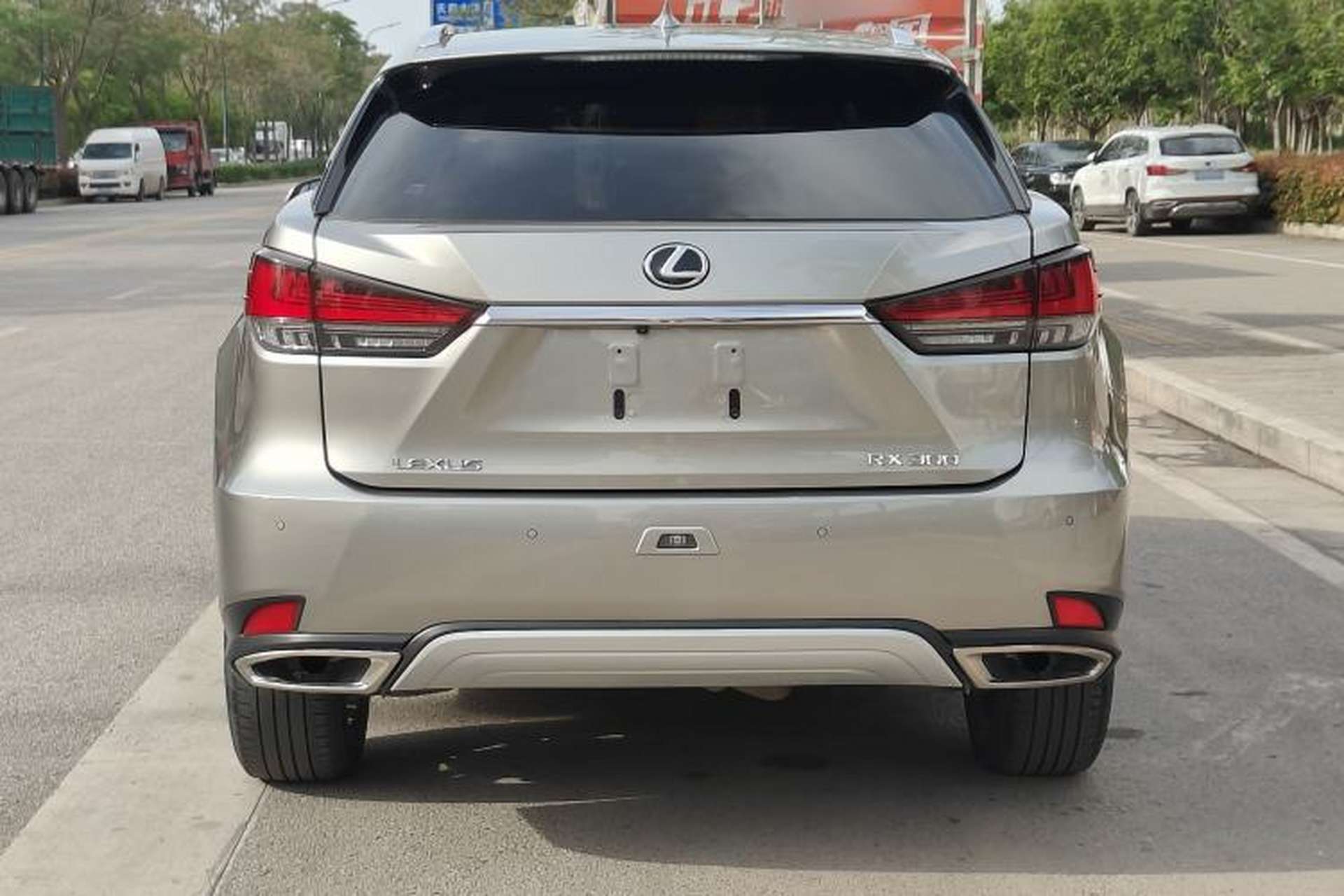 Used Lexus RX 2020 Facelifted 300 4x4 Elegant Edition Exterior 8