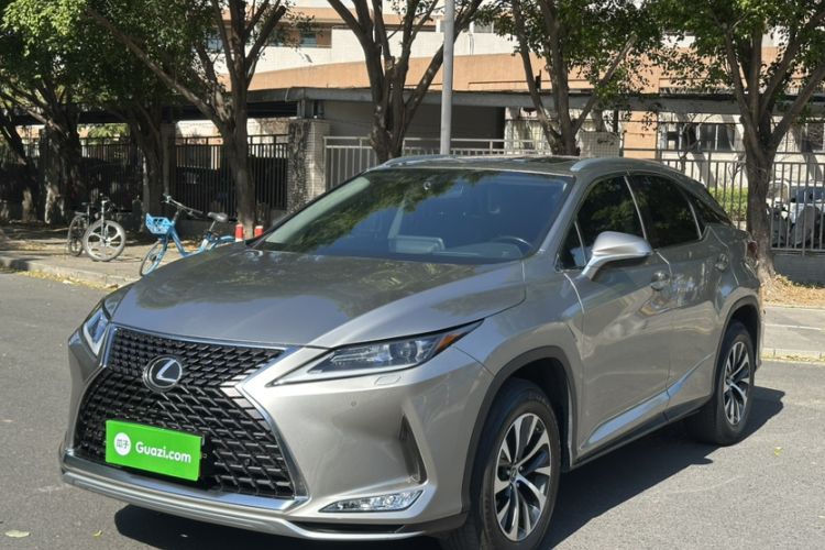 Used Lexus RX 2020 Revised Version 300 Two-Wheel Drive Elite Edition Exterior 8