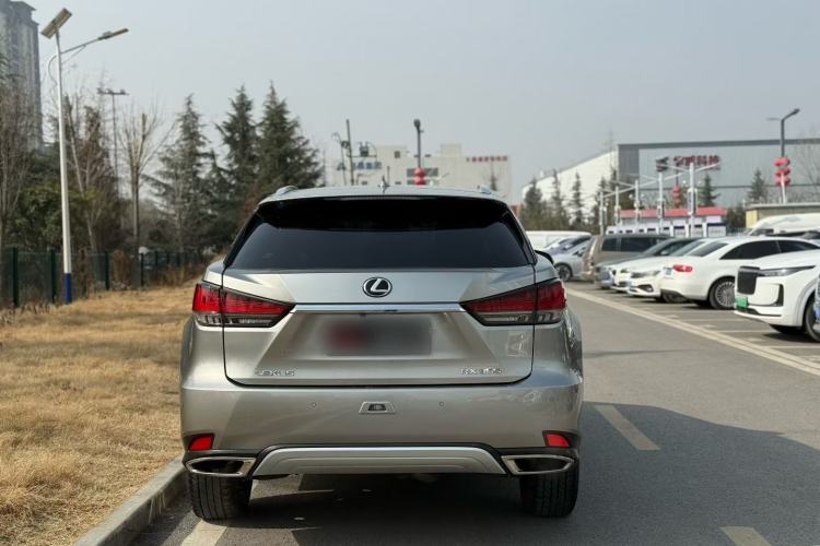 Used Lexus RX 2020 Facelifted 300 4x4 Elegant Edition Exterior 8