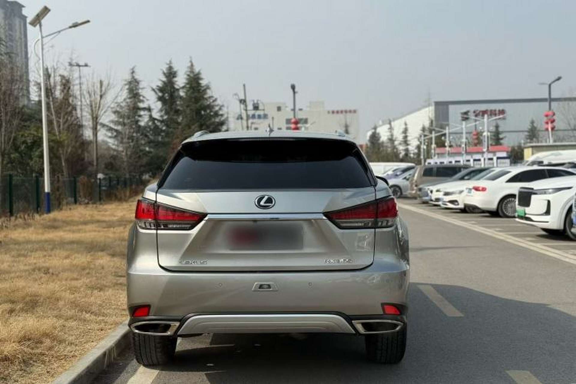 Used Lexus RX 2020 Facelifted 300 4x4 Elegant Edition Exterior 8
