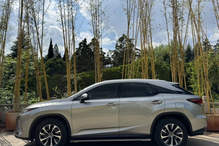 Used Lexus RX 2020 Revised Version 300 Two-Wheel Drive Elite Edition Exterior 9
