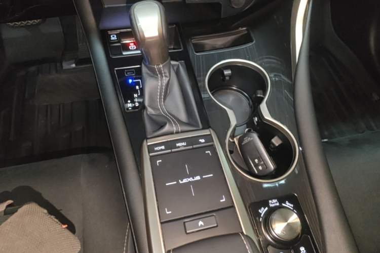 Used Lexus RX 2020 300 Two-Wheel Drive Elite Edition China VI Standard Gear Lever