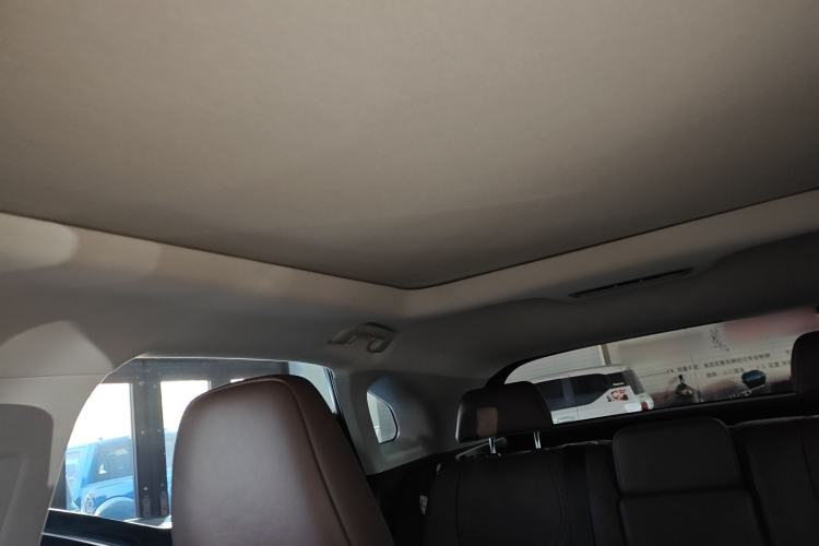 Used Lexus RX 2020 Facelifted 300 4x4 Elegant Edition Headliner