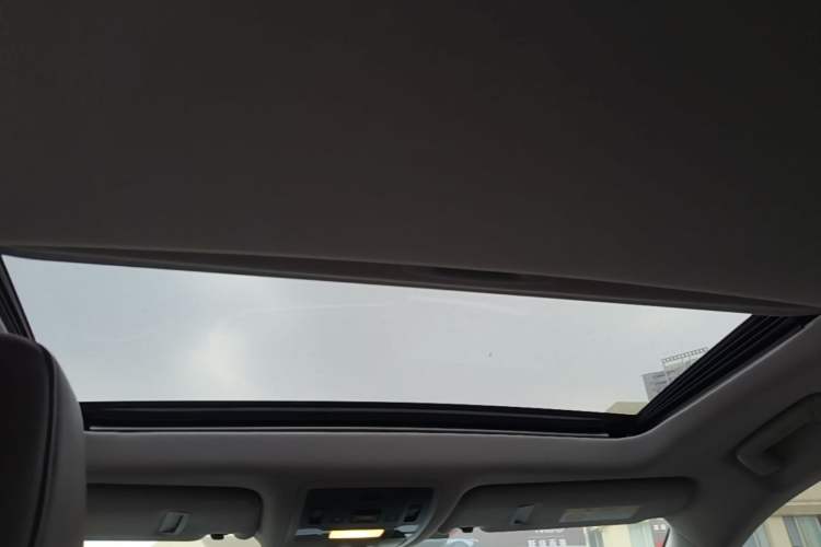 Used Lexus RX 2020 Revised Version 300 Two-Wheel Drive Elite Edition Headliner