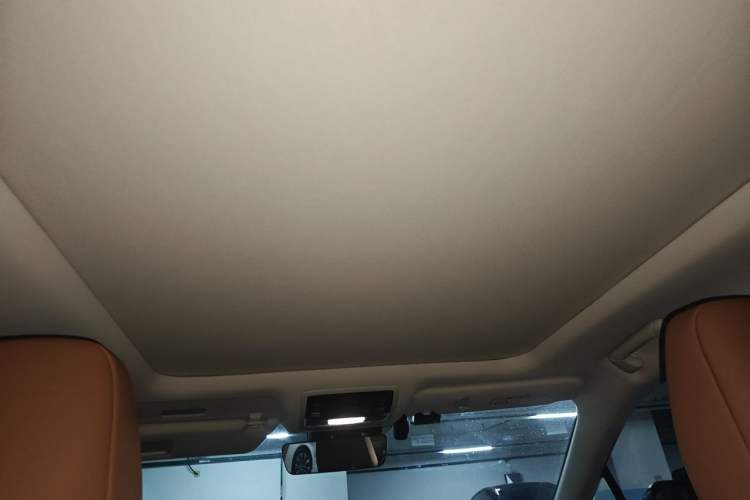 Used Lexus RX 2020 Facelifted 300 4x4 Elegant Edition Headliner