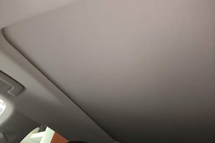 Used Lexus RX 2020 Facelifted 300 4x4 Elegant Edition Headliner
