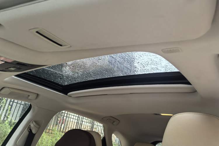 Used Lexus RX 2020 300 Two-Wheel Drive Elite Edition China VI Standard Headliner