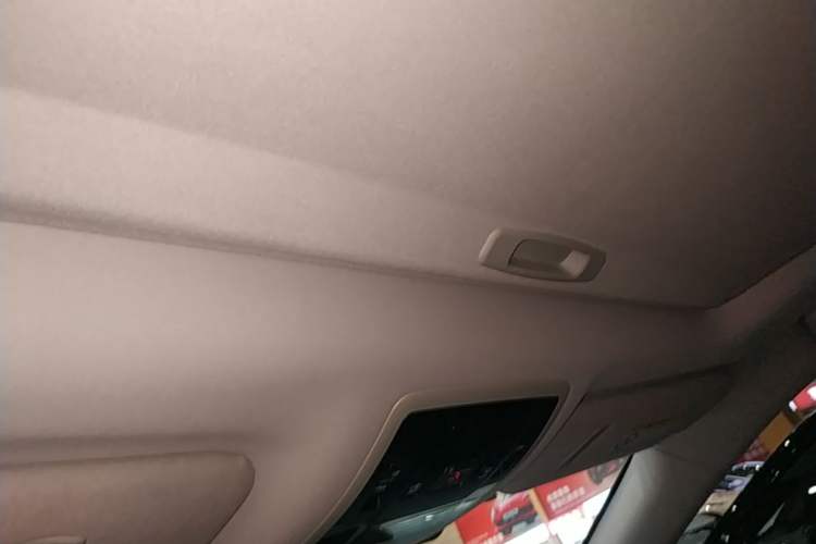 Used Lexus RX 2020 Revised Version 300 Two-Wheel Drive Comfort Edition Headliner
