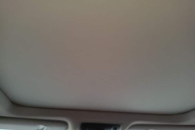 Used Lexus RX 2020 300 4x4 Elegant Edition China VI Headliner