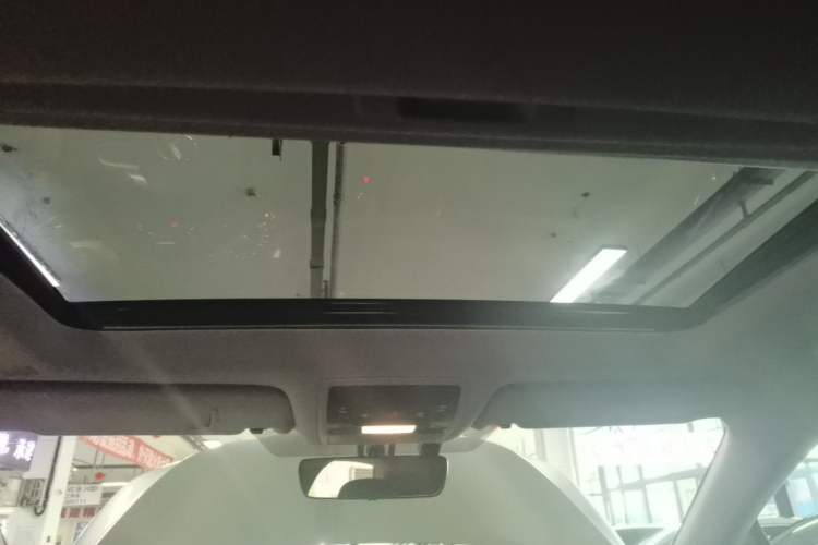 Used Lexus RX 2020 Revised Version 300 Two-Wheel Drive Elite Edition Headliner