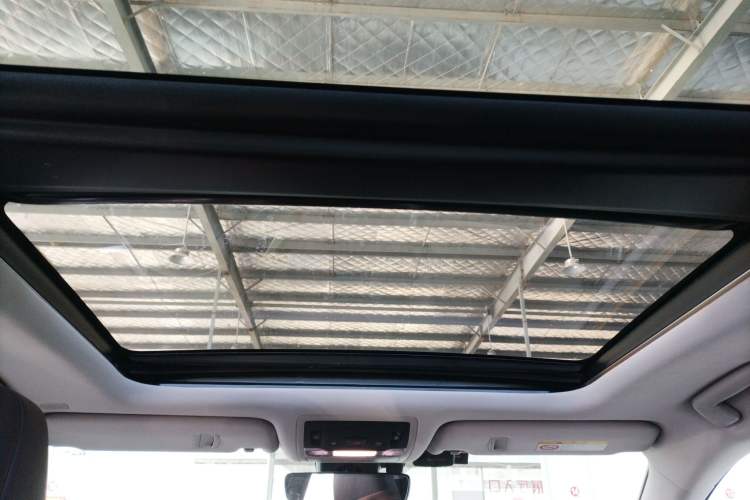Used Lexus RX 2020 300 4x4 Elegant Edition China VI Headliner