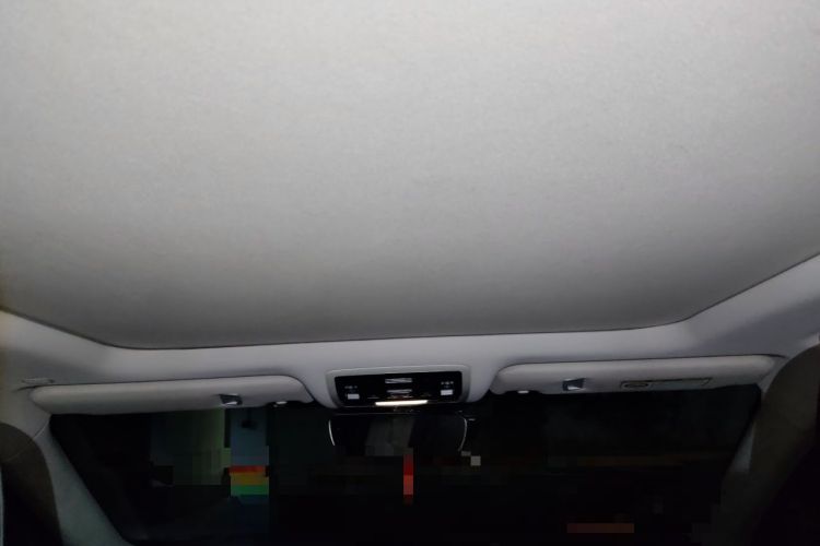 Used Lexus RX 2020 Facelifted 300 4x4 Elegant Edition Headliner
