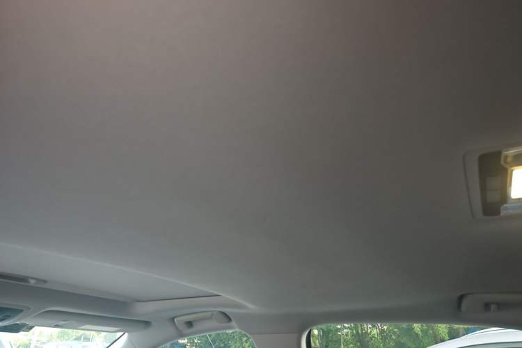 Used Lexus RX 2020 300 Two-Wheel Drive Elite Edition China VI Standard Headliner