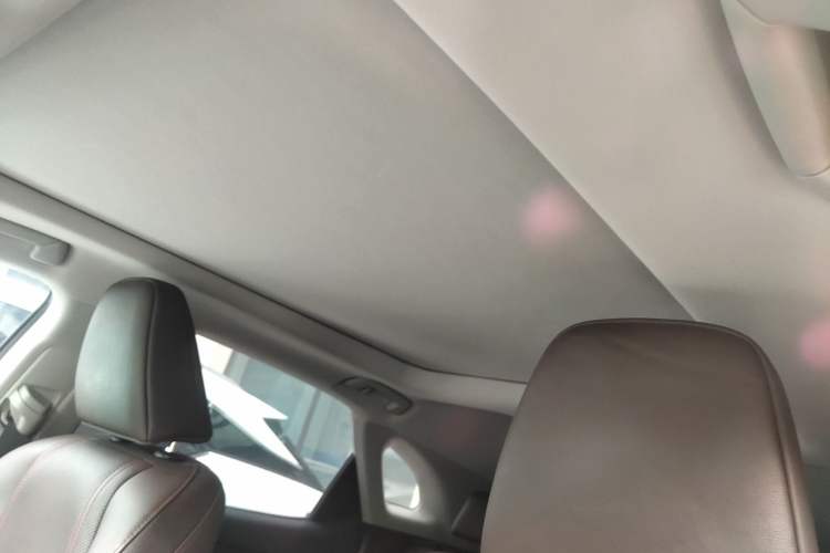 Used Lexus RX 2020 Facelifted 300 4x4 Elegant Edition Headliner
