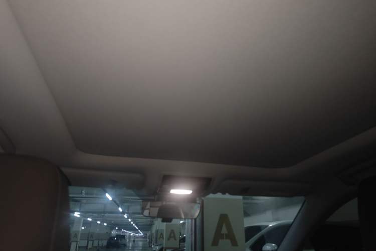 Used Lexus RX 2020 Facelifted 300 4x4 Elegant Edition Headliner