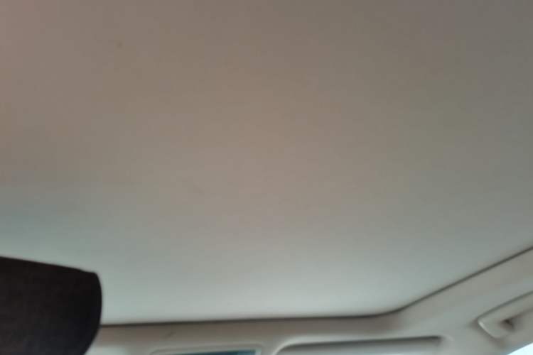Used Lexus RX 2020 Facelifted 300 4x4 Elegant Edition Headliner
