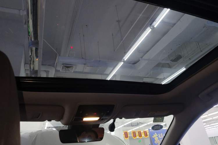 Used Lexus RX 2020 300 4x4 Elegant Edition China VI Headliner
