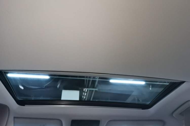 Used Lexus RX 2020 Revised Version 300 Two-Wheel Drive Comfort Edition Headliner