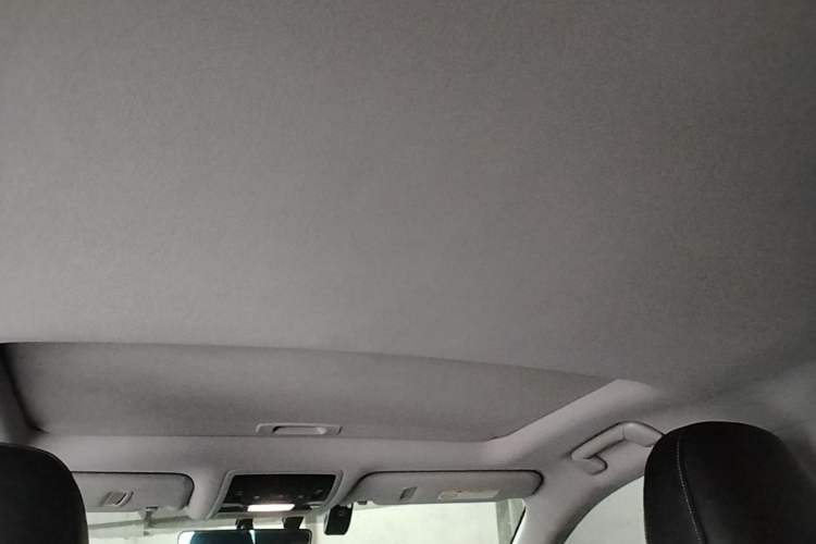Used Lexus RX 2020 Revised Version 300 Two-Wheel Drive Elite Edition Headliner