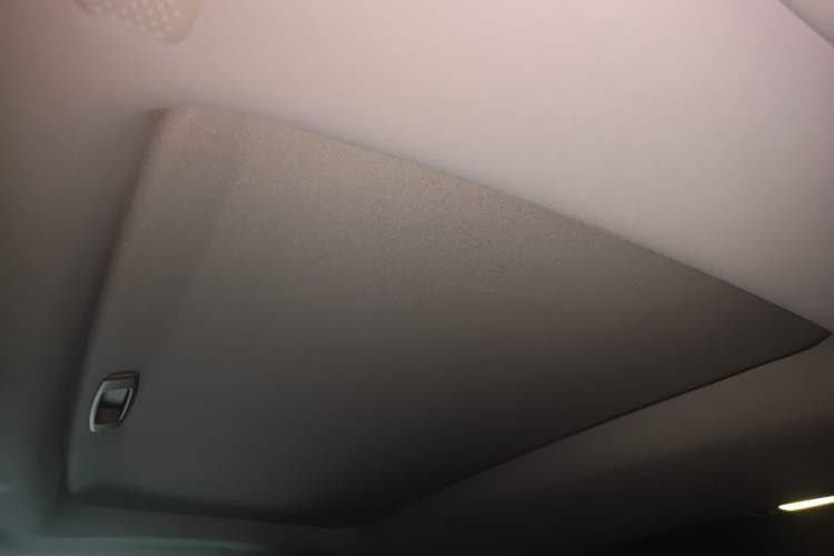 Used Lexus RX 2020 Revised Version 300 Two-Wheel Drive Elite Edition Headliner