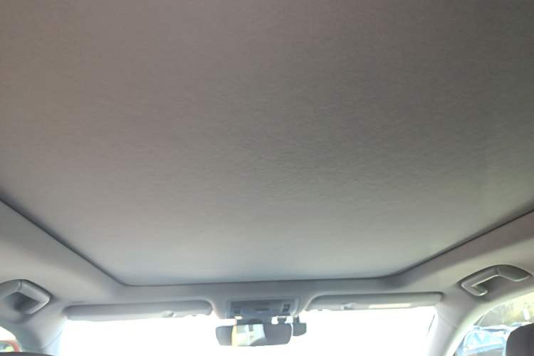 Used Lexus RX 2020 Facelifted 300 4x4 Elegant Edition Headliner