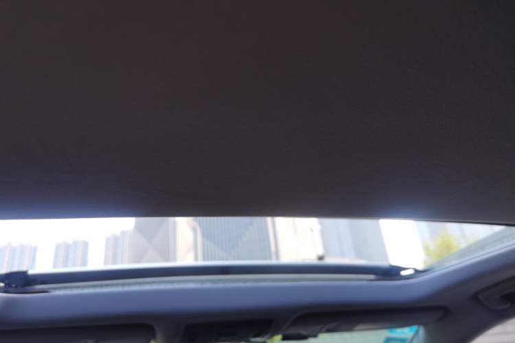 Used Lexus RX 2020 Revised Version 300 Two-Wheel Drive Elite Edition Headliner