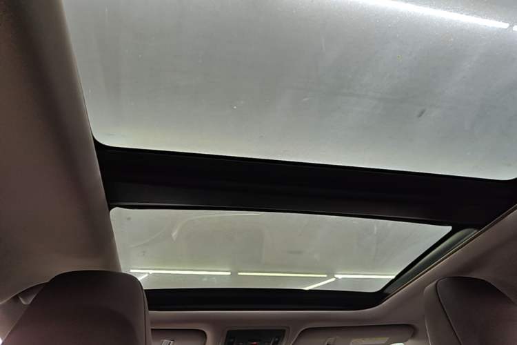 Used Lexus RX 2020 300 4x4 Elegant Edition China VI Headliner