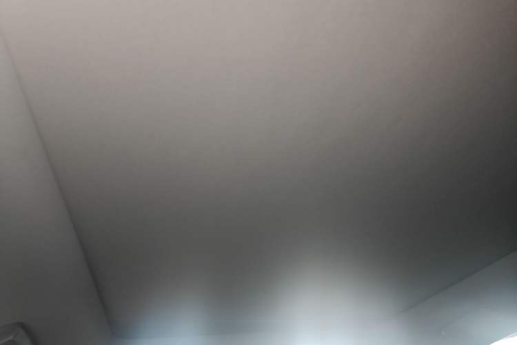 Used Lexus RX 2020 Facelifted 300 4x4 Elegant Edition Headliner