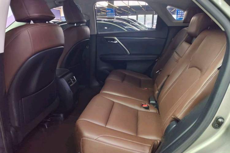 Used Lexus RX 2020 Revised Version 300 Two-Wheel Drive Elite Edition Headliner