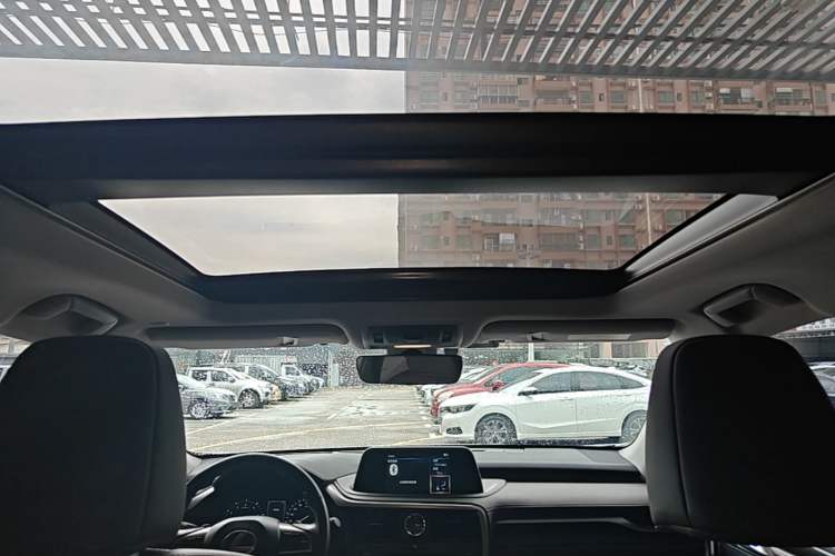 Used Lexus RX 2020 Facelifted 300 4x4 Elegant Edition Headliner