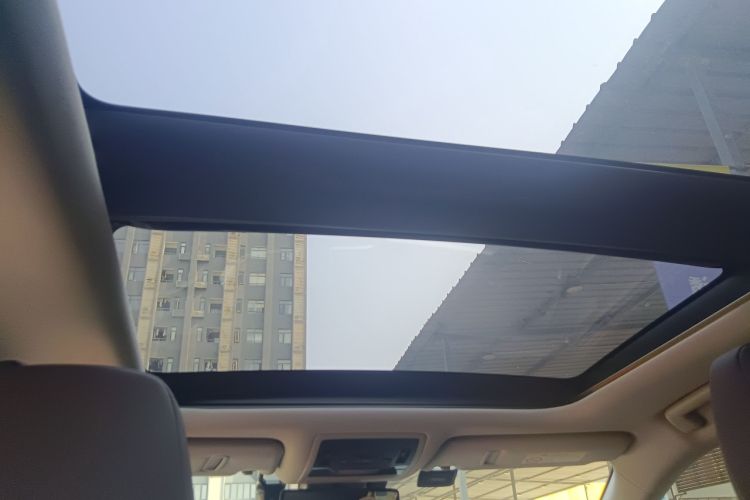 Used Lexus RX 2020 Facelifted 300 4x4 Elegant Edition Headliner
